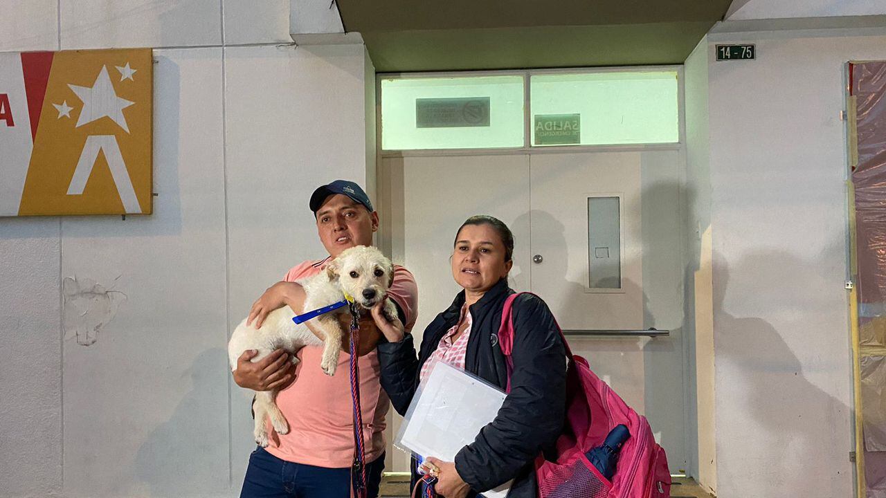 Justin, el perro de la familia Rivera Murcia después de ser liberado.