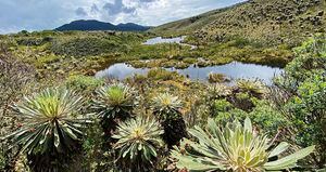 El reto más grande del río nace porque el 97 por ciento de sus aguas se encuentran contaminadas. Únicamente hay 11 kilómetros de aguas cristalinas cerca del Páramo de Guacheneque, en el municipio de Villapinzón, Cundinamarca.