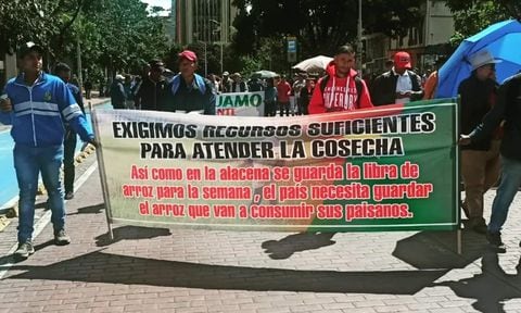 Manifestación arrocera en Bogotá.