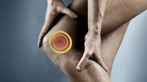 El romero es una buena opción para tratar dolores de rodilla. Foto: Getty Images.