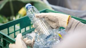 Vista de ángulo alto del trabajador de gestión de residuos que usa guantes de trabajo que sostienen una botella de plástico en la planta de reciclaje