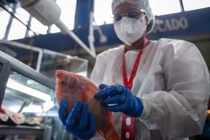 Plaza de mercado Paloquemao Bogota 
Protocolos de bioseguridad para semana santa 