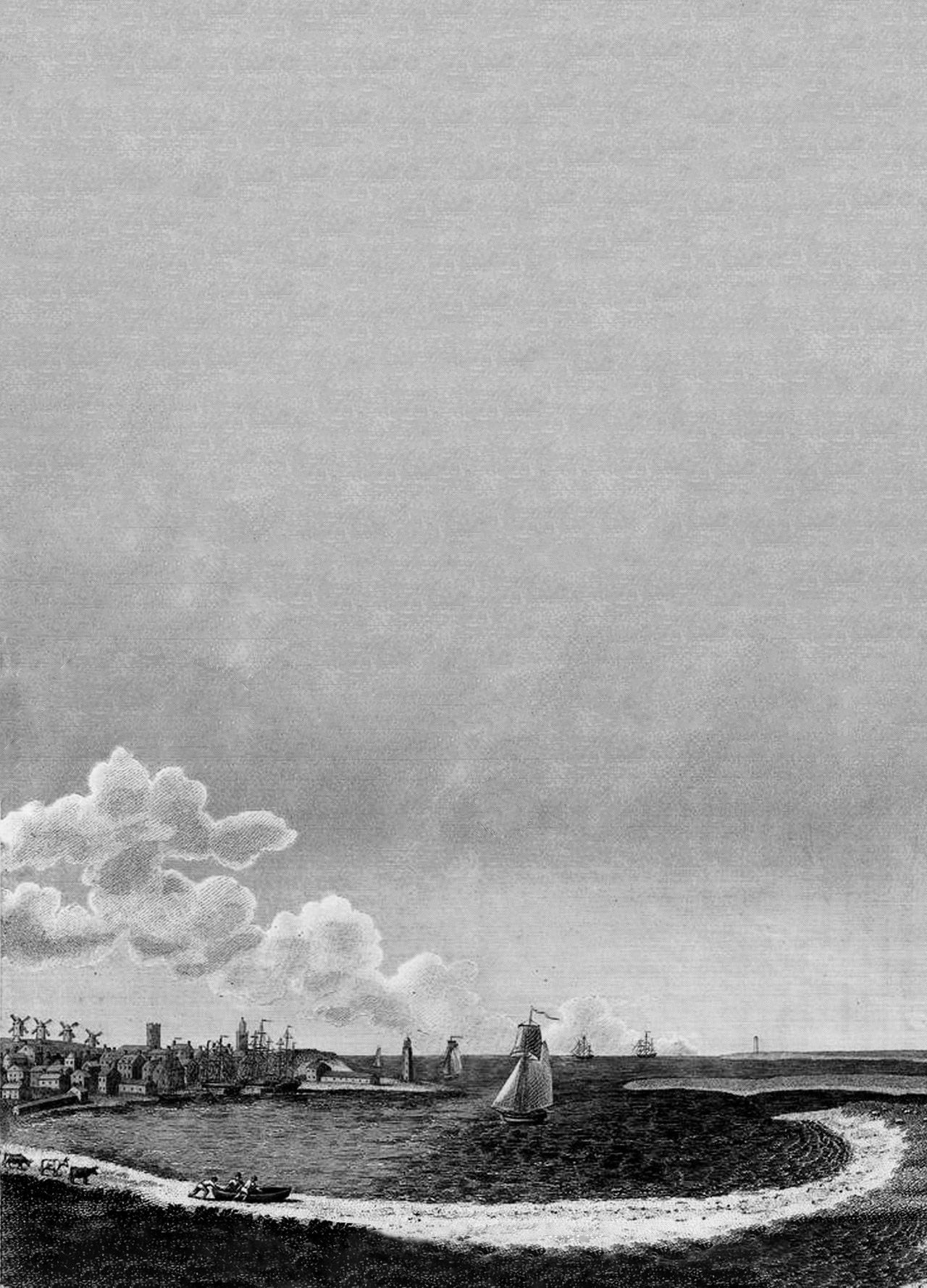 Benjamin Tanner. The town of Sherburne in the island of Nantucket. (1811). Grabado sobre papel/ The New York public Library (Digital Collections). Cortesía de Editorial Panamericana.