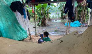 SEMANA hizo un recorrido por varios asentamientos indígenas en el departamento de Guaviare. La crisis humanitaria amenaza a las comunidades.