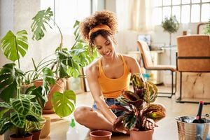 Smiling woman planting while sitting cross legged by potted plants. Young woman is wearing casuals. She is in living room at home.
