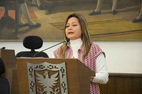 La concejal Mafe Rojas lanzó su precandidatura a la Alcaldía de Bogotá por el partido Alianza Verde.