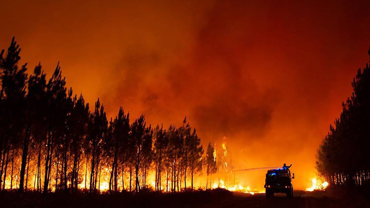 Francia, España y Portugal, los países más afectados por incendios forestales en medio de ola de calor en Europa