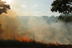 Incendio forestal en Arauca