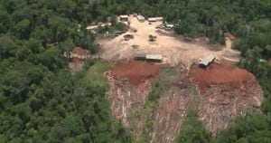 Greenpeace denuncia deforestación en Brasil