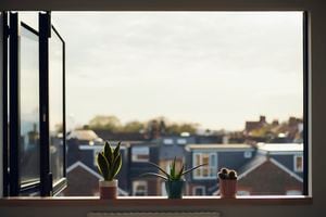 Las plantas enn la ventana ayudan a atraer buena energía a la casa.