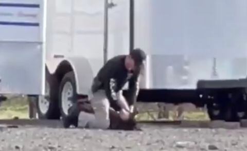 Video dejó en evidencia el violento ataque de un policía a su perro en EE.UU.