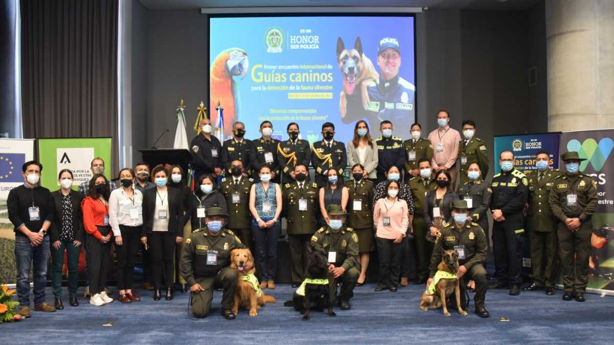 Policía Nacional y sus caninos