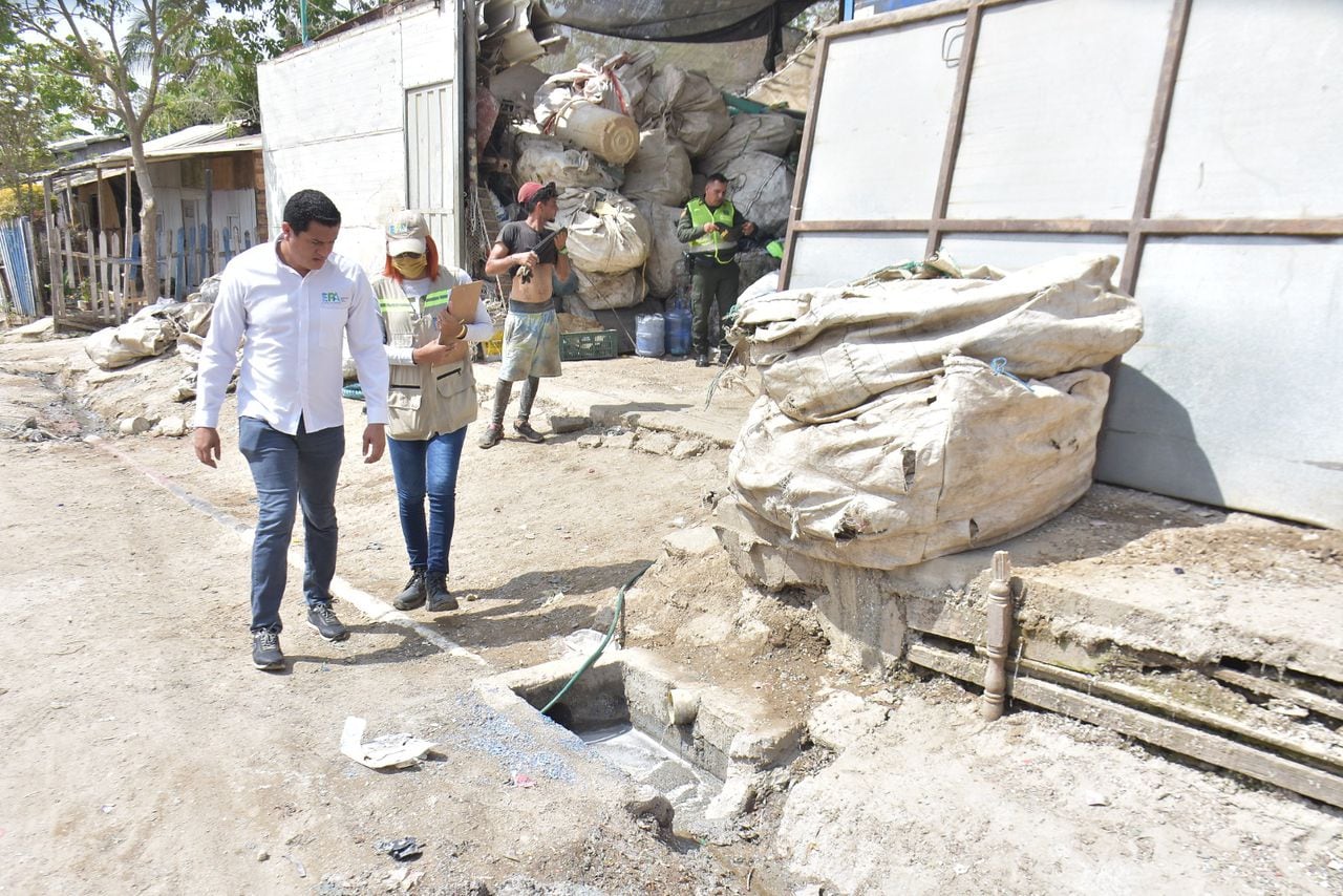 Delitos ambientales en Cartagena