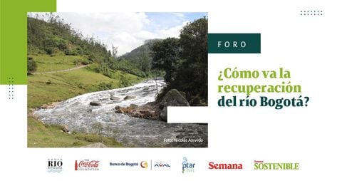¿Cómo va la recuperación del río Bogotá?