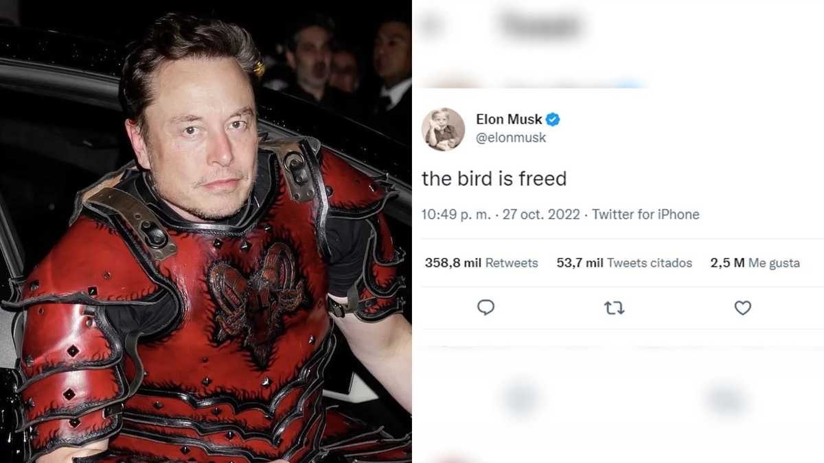 Twitter y Elon Musk: ¿Qué ha pasado desde que asumió la dirección?