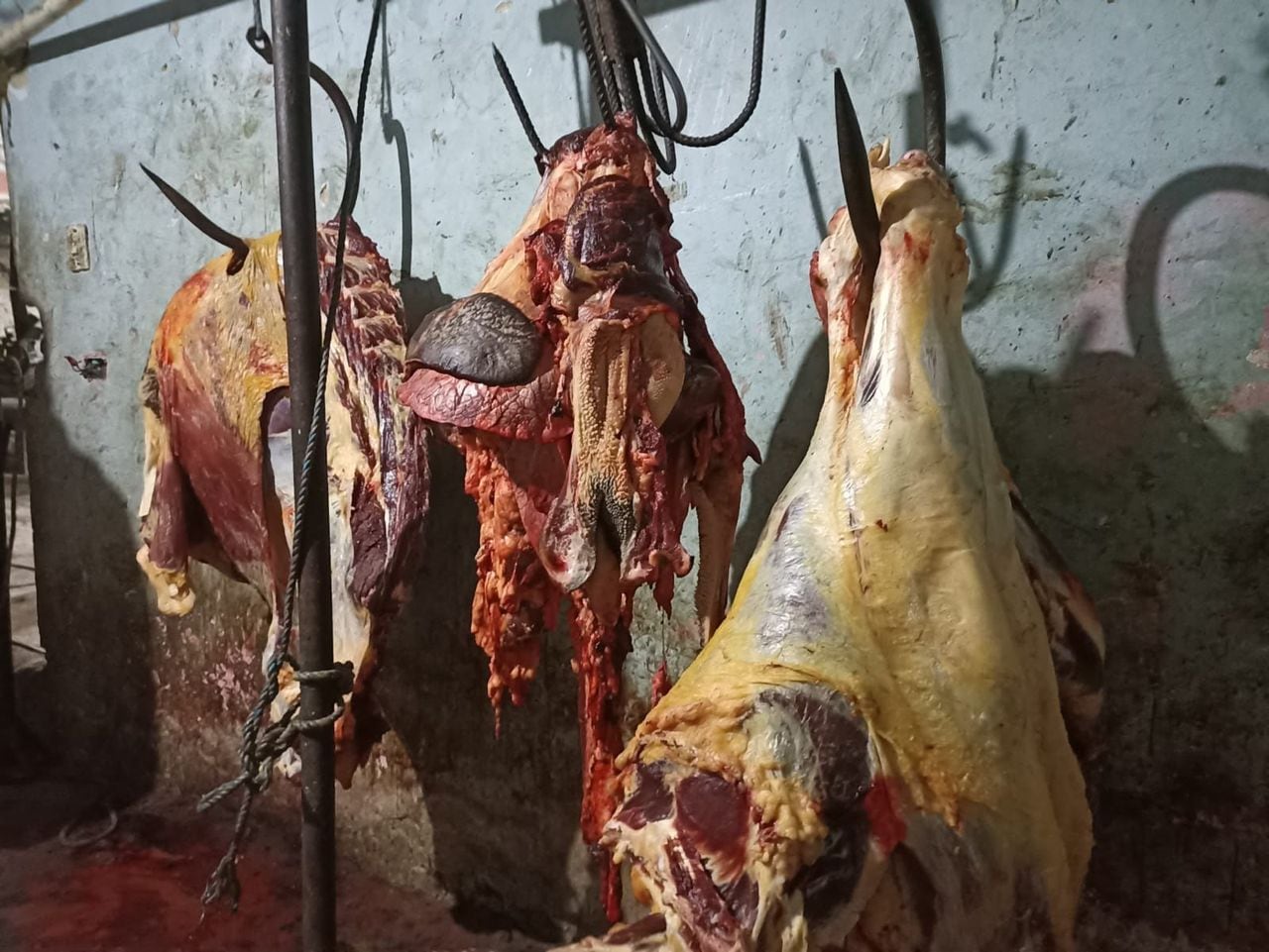 Operativos en Ciudad Bolívar establecieron que la carne incautada estaba en pésimas condiciones de salubridad y pudo ocasionar afectaciones a la salud.