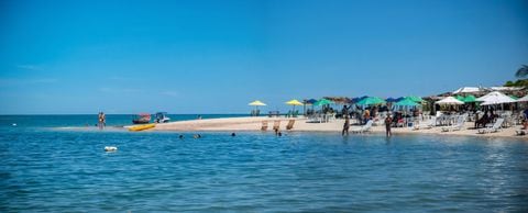 Playa en brasil fue cerrada temporalmente por presencia de pirañas