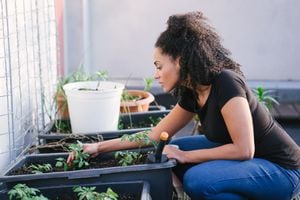 Una mujer sembrando plantas