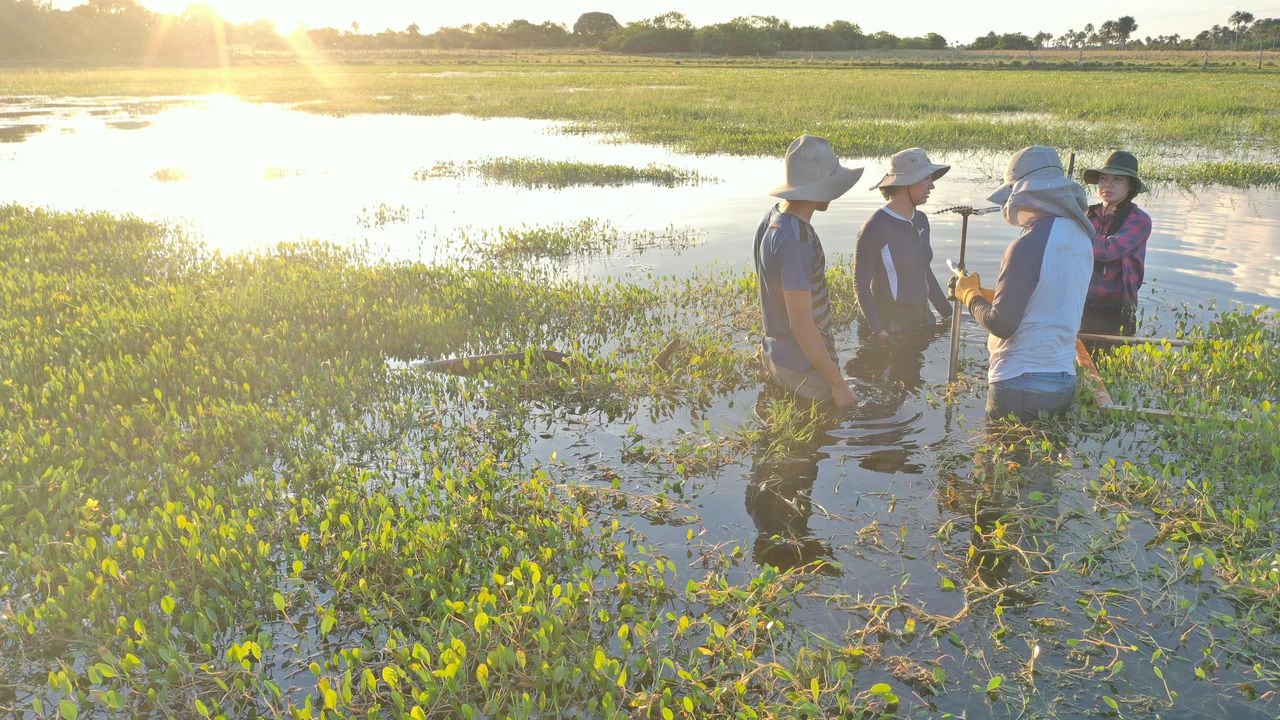 LATAM hace parte del proyecto CO2Bio de la Fundación Cataruben, que conserva la biodiversidad y las sabanas inundables de Casanare Arauca, Vichada y Meta y apoya los proyectos productivos de la zona.