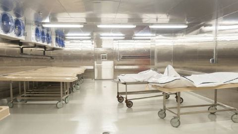 Aterrador caso de necrofilia: trabajador de una morgue abusó de decenas de cadáveres de niñas y mujeres. Foto Gettyimages.