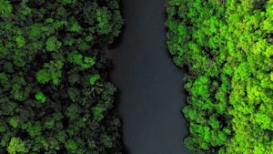 La Alianza Naturamazonas se creó con el fin de  mitigar la deforestación, una de las principales amenazas para el Amazonas.