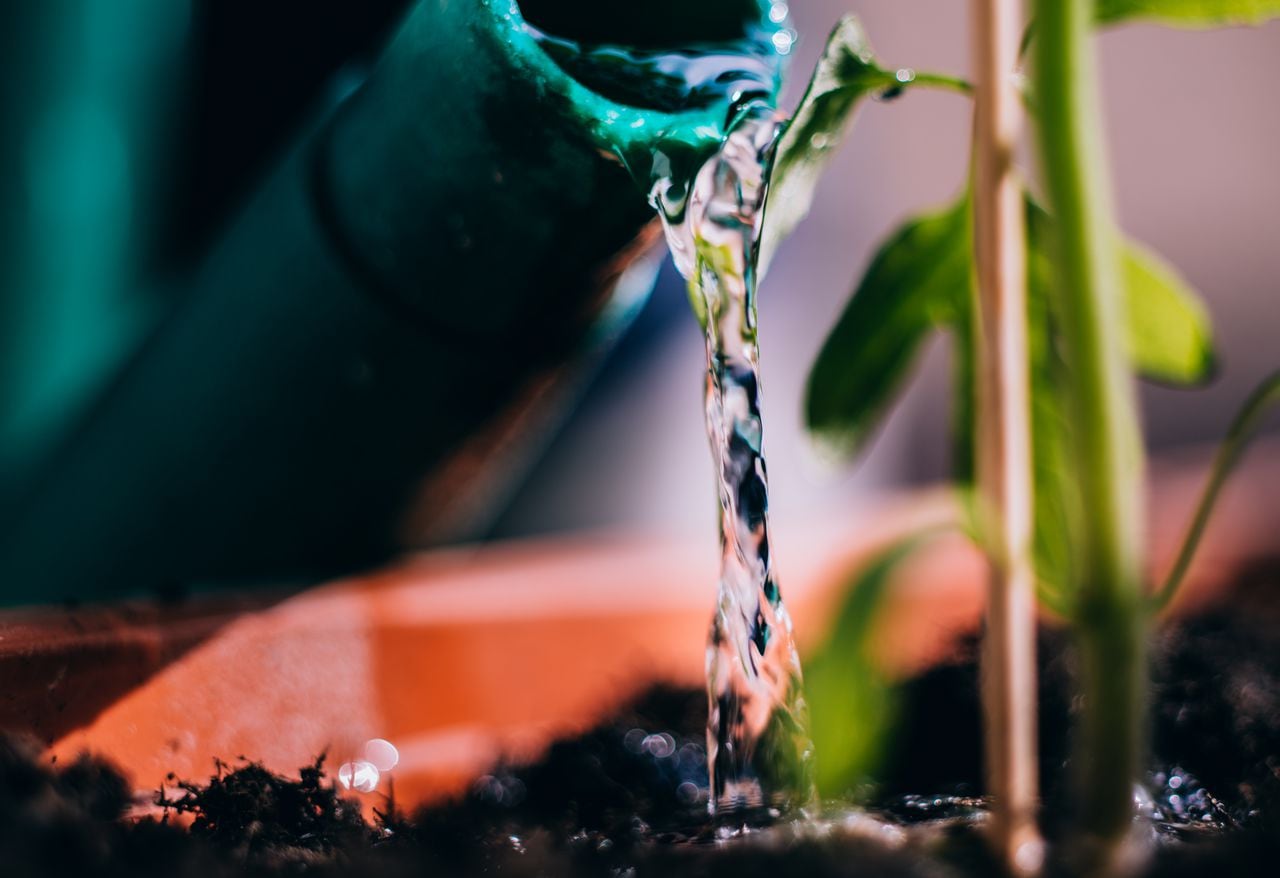 El agua para las plantas actúa propiamente sobre el suelo.