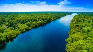 Las comunidades del Amazonas trabajan en la restauración ecológica de la región para frenar la reforestación.