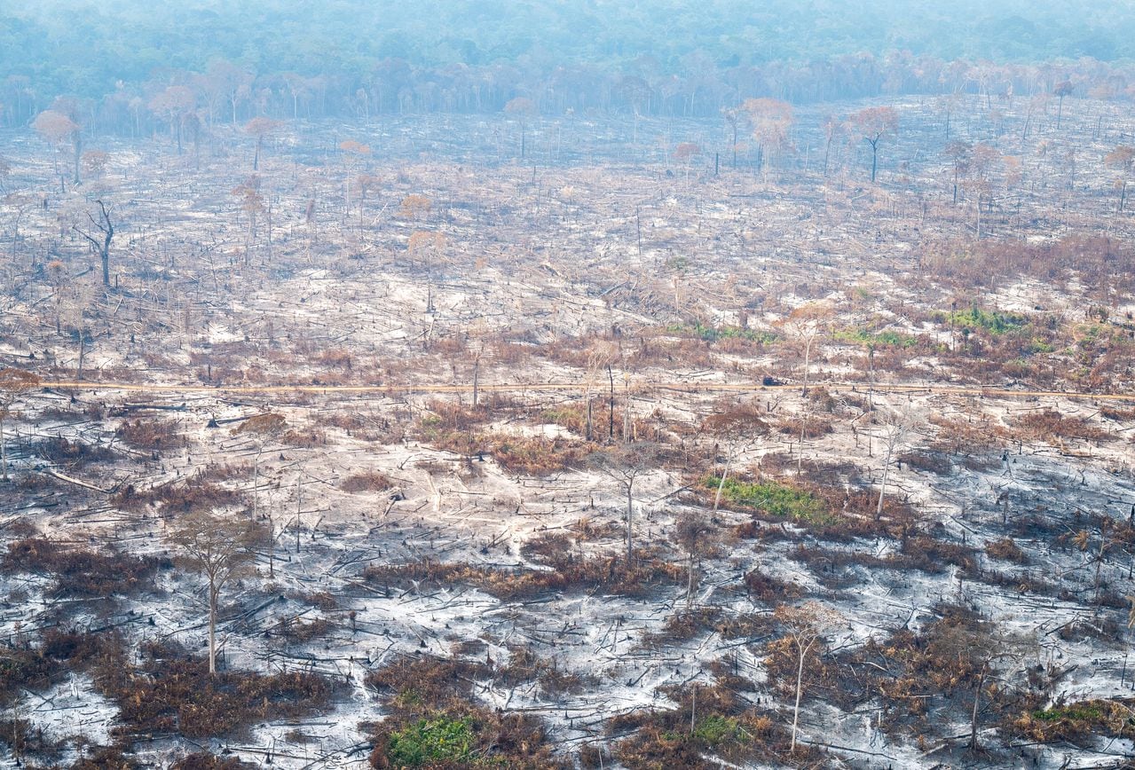 Ya son más de 15 mil las hectáreas afectadas por los incendios