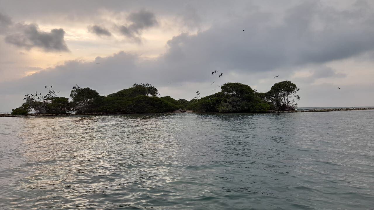 Isla Cabruna, conocida como la isla de las aves por el gran número de especies que visitan el lugar todos los días luego del atardecer.