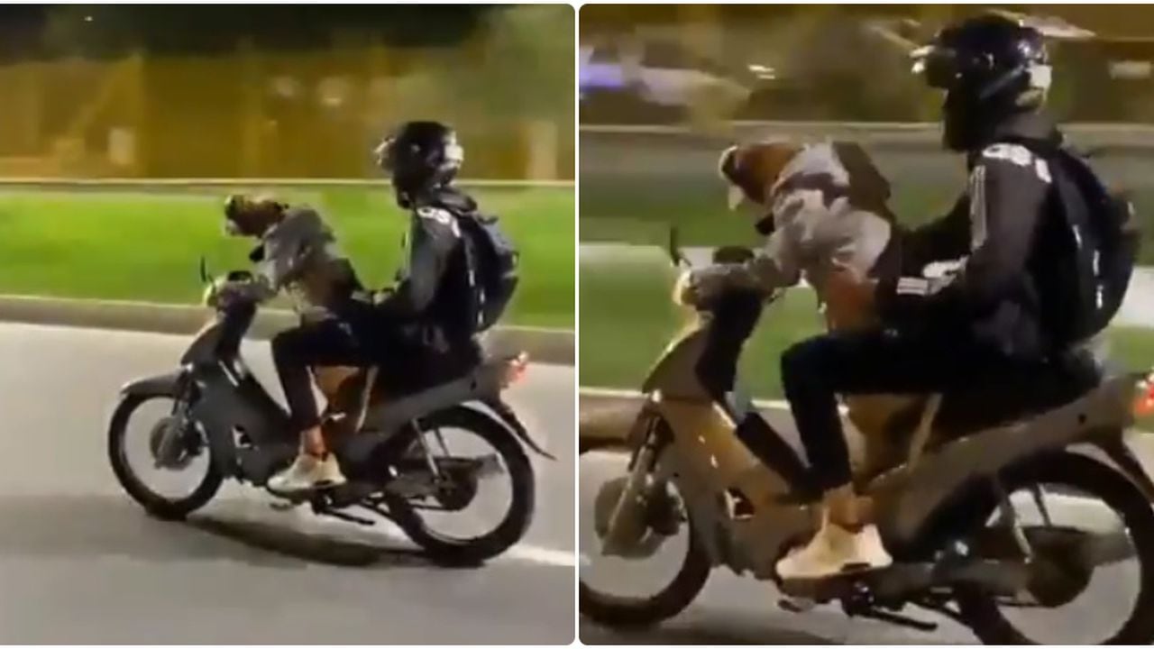 Hombre puso a manejar la moto a su perro en Envigado: vea el video del momento