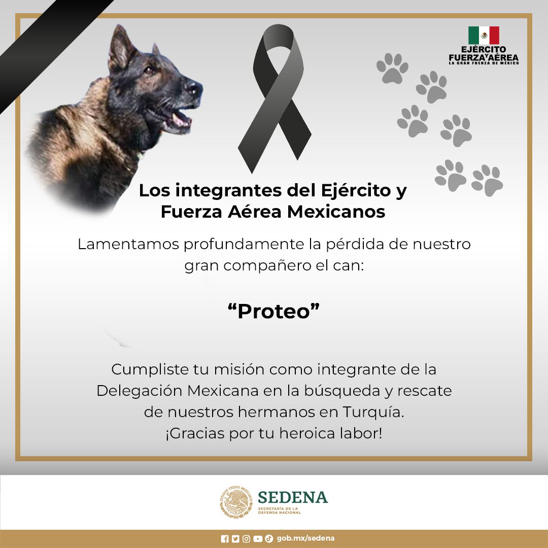 Anuncio de la muerte del perro mexicano rescatista en Turquía.