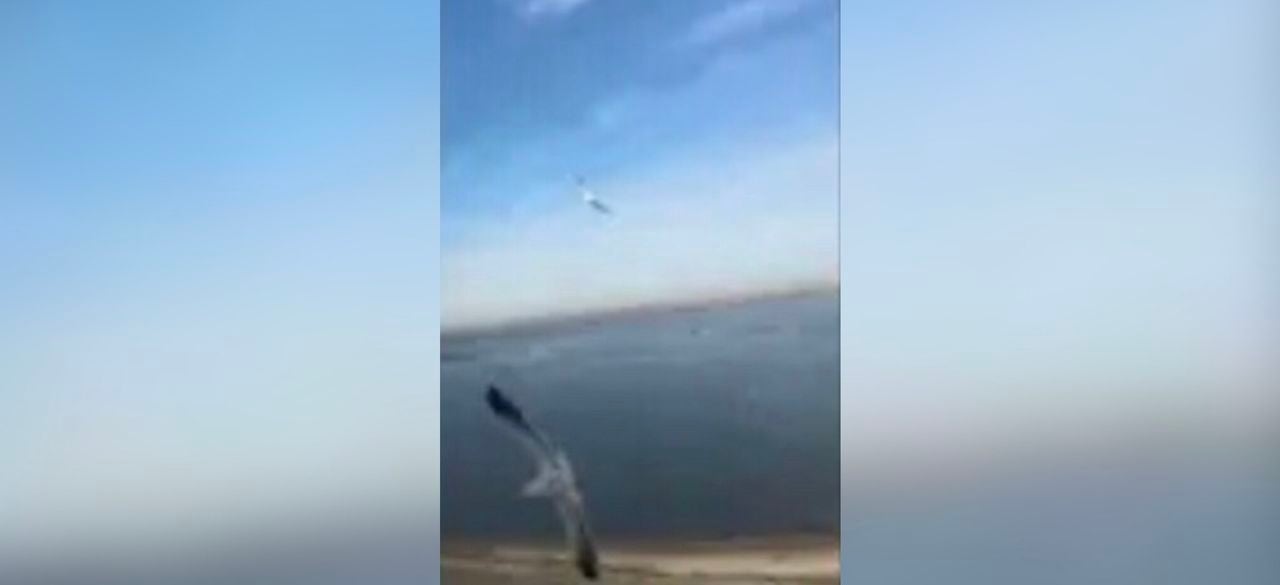 En video quedó registrado el momento en el que un pájaro chocó en Estados Unidos contra un avión de la compañía Delta poco después de despegar que causó daños en uno de los motores.
