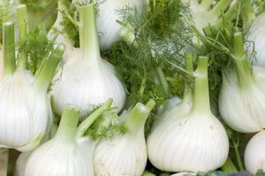 fennel on market stall, turin, italy