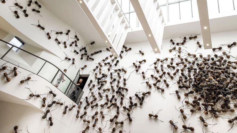 This photograph taken on September 16, 2022 shows artwork "Casa Tomada" by artist Rafael Gomez Barros as part of the exhibition Creeps at Rijksmuseum in Amsterdam. (Photo by Koen van Weel / ANP / AFP) / Netherlands OUT