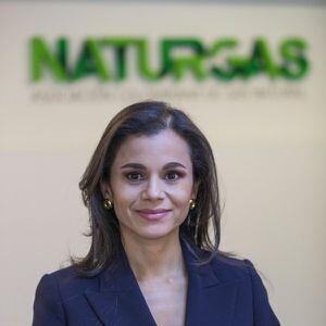 actualmente se desempeña como presidenta de Naturgas.