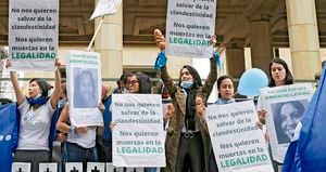   El colectivo Causa Justa presentó la demanda ante la Corte Constitucional. El alto tribunal amplió la posibilidad de abortar hasta la semana 24, lo que abrió la polémica.