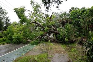 El huracán Ian ya ha causado la caída de árboles en Sarasota (Florida), y continúa su avance al mismo tiempo que se fortalece.