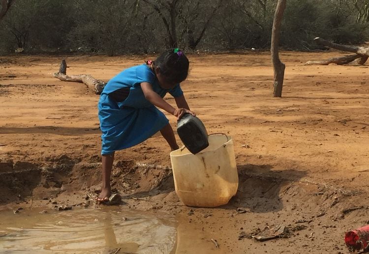 La Utadeo lidera la lucha jurídica para la reivindicación del derechos al agua potable de la comunidad indígena Wayúu.