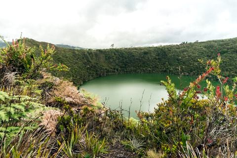 Laguna de Guatavita: El rincón de ensueño que cautivó a ChatGPT en Colombia.