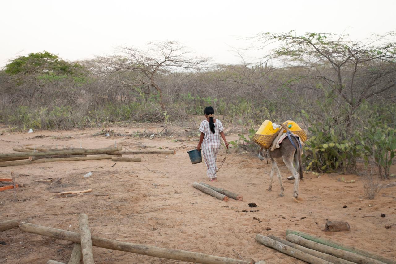 Los wayuu tienen que caminar largos trayectos para conseguir agua.