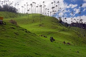El Valle del Cocora (Salento, Quindo), Colombia. (Foto de: Fetze Weestra/VW PICS/Universal Images Group vía Getty Images)
