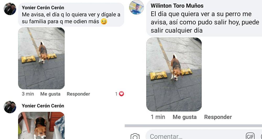 A través de distintas cuentas en redes sociales, Lorena recibió estos mensajes, donde se le informa que su perro fue raptado, presuntamente por Yonier.