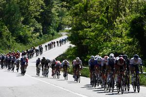 Ciclistas del pelotón en el Giro de Italia 2022 durante la etapa 13 - Foto: AP