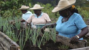 Las mujeres de la fundación Chiyangua venden las hierbas aromáticas y especias que cultivan en sus hogares.