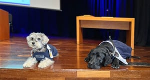 Se graduaron dos perros en una universidad de Medellín.