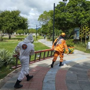 Bombero de Valledupar atendiendo casos de abejas