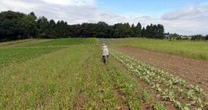 La agricultura orgánica es una de las apuestas en las que debe trabajar el sector productivo a futuro. 