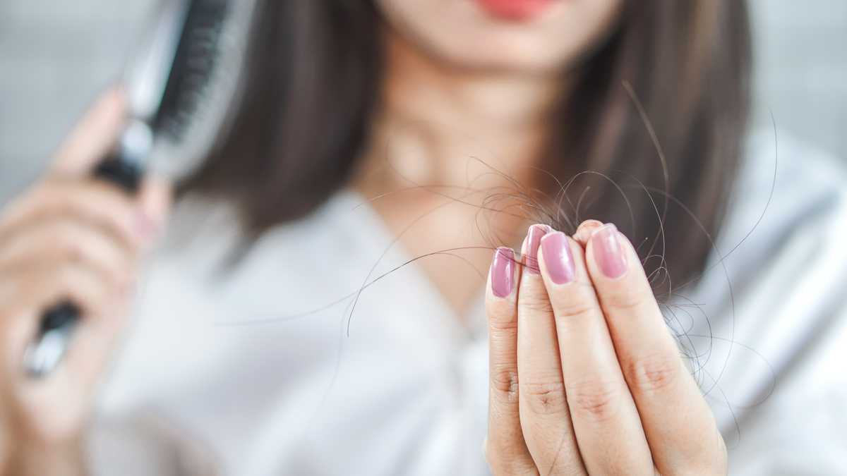 closeup woman hand holding hair fall from hairbrush