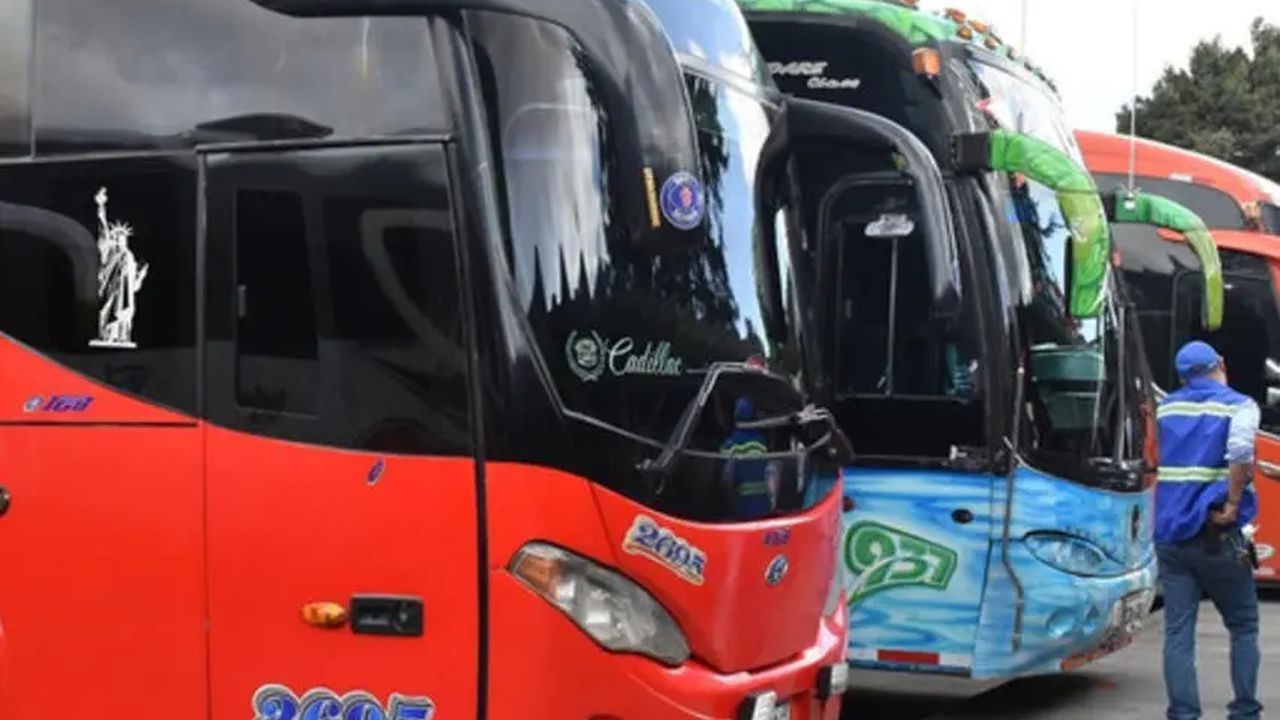 Flota de buses de servicio intermunicipal está lista para transportar a los usuarios que se trasladarán a ejercer su derecho al voto
