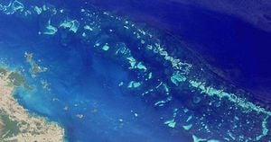 Vista satelital de la Gran Barrera de Coral en las costas de Australia. Foto: NASA